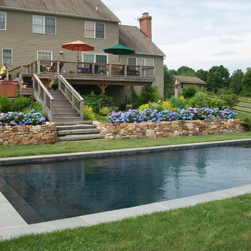 Swimming Pool Garden