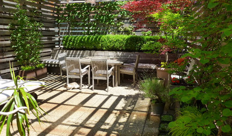 Discover an Intimate Garden Nestled on a Manhattan Rooftop