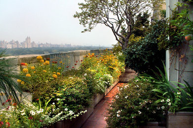 Elegant deck photo in New York