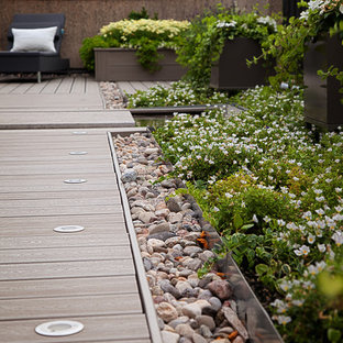 Mittelgroße Moderne Dachterrasse mit Kübelpflanzen in Montreal