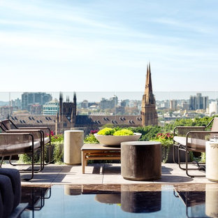Inspiration for a contemporary rooftop and rooftop deck in Sydney with a container garden and no cover.
