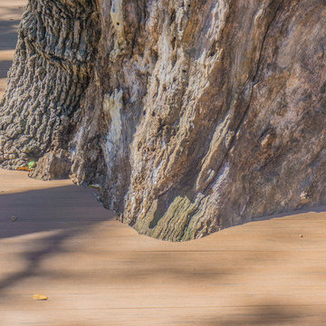 The Grove Round Rock Deck (TimberTech)