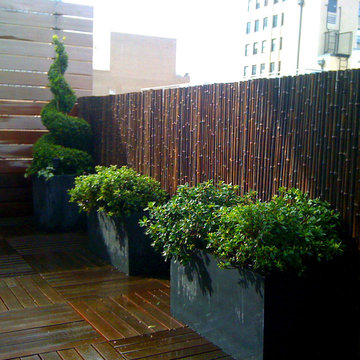 TriBeCa, NYC Roof Garden: Deck, Bamboo Fence, Container Garden, Terrace, Planter