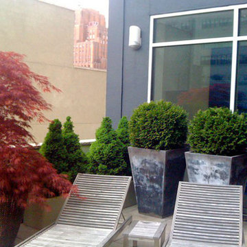 TriBeCa, NYC Terrace Deck: Roof Garden, Chaise Lounges, Container Plants, Japane