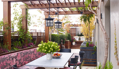 Pregunta al experto: 7 plantas para tener una terraza perfecta