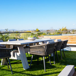 Cette image montre une terrasse sur le toit design avec un foyer extérieur et aucune couverture.