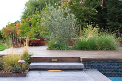 Diseño de terraza contemporánea grande sin cubierta en patio trasero con jardín de macetas