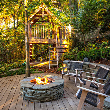 Washington DC Landscape and Backyard Play Project