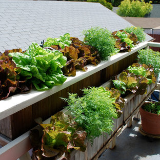 Deck - eclectic deck idea in San Francisco