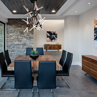 Inspiration for a contemporary gray floor dining room remodel in Phoenix with white walls