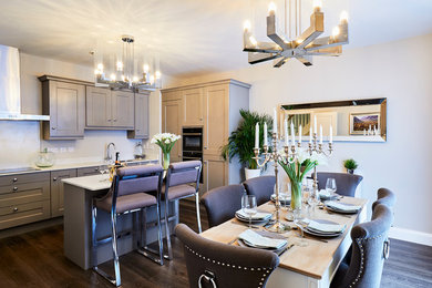 Example of a mid-sized transitional dark wood floor kitchen/dining room combo design in Dublin with gray walls