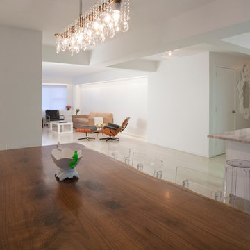Contemporary Dining Room