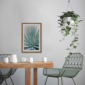 “Agave III” Framed Painting Print