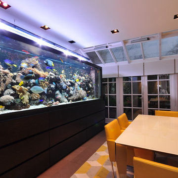 Aquarium Architecture