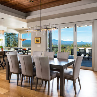Diseño de comedor clásico renovado, grande, cerrado, sin chimenea, con paredes grises, suelo de madera clara y suelo gris
