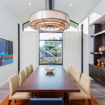 Huge transitional medium tone wood floor and gray floor enclosed dining room photo in Austin with white walls
