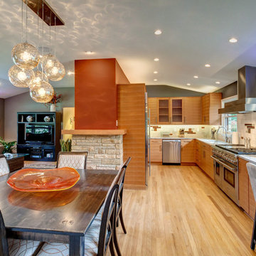 Brookfield Midcentury Modern Interior Remodeling