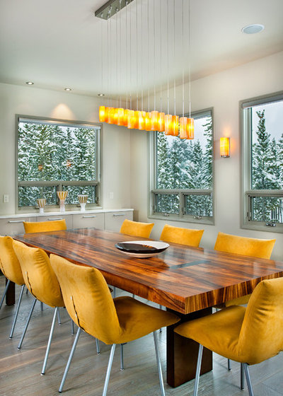 Contemporary Dining Room by New Mood Design LLC