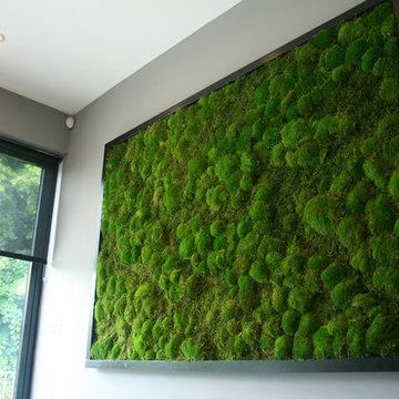 Bun and Flat moss wall art piece
