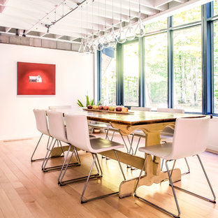 Foto de comedor industrial con paredes blancas y suelo de madera clara