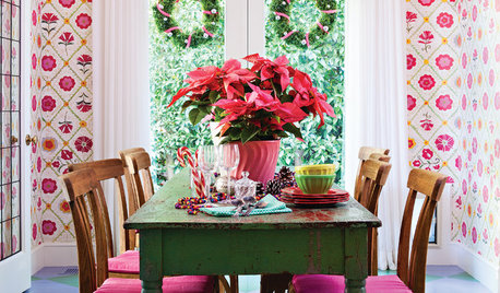 How to Keep Your Gift Plants Happy After the Holidays