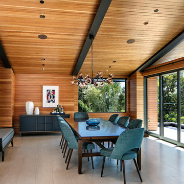 Cohen Residence