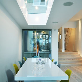 Contemporary Extension Chiswick