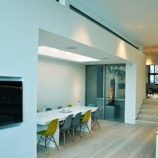 Contemporary Extension Chiswick