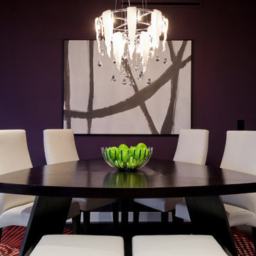 Contemporary Phoenix Condo