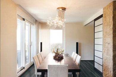 Foto de comedor de tamaño medio con paredes beige y suelo de madera oscura