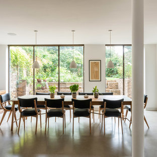 This is an example of a large scandinavian kitchen/dining room in London with concrete flooring, grey floors and white walls.