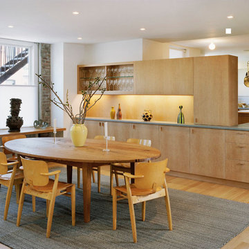 David Salle residence, Brooklyn
