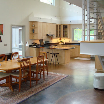 Dining and Kitchen of Mid-Century Modern Healthy Home