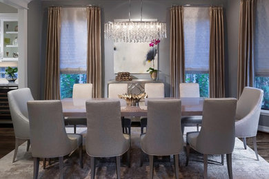 Example of a mid-sized transitional dark wood floor enclosed dining room design in Houston with gray walls and no fireplace