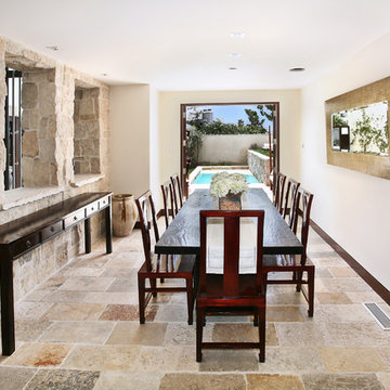 Dining room fireplace