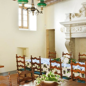 Dining Room Fireplaces by Ancient Surfaces