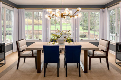 Inspiration for a transitional dining room remodel in Philadelphia