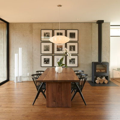 Minimalist dark wood floor great room photo in Minneapolis with a wood stove