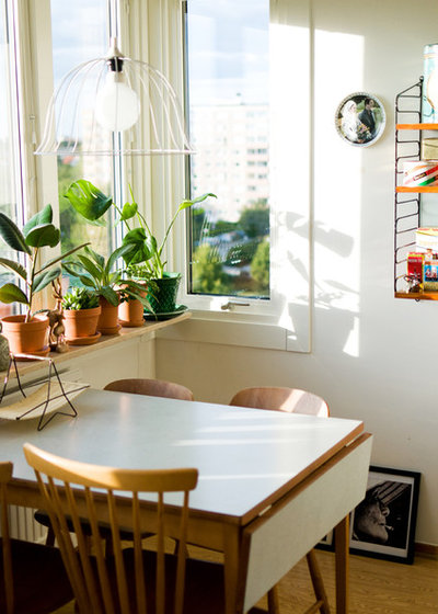 Midcentury Dining Room by User