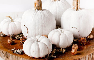 Decorating: Stylishly Alternative Pumpkin Ideas for Halloween