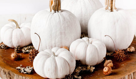 Decorating: Stylishly Alternative Pumpkin Ideas for Halloween