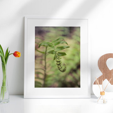 Growth of the Forest Floor Botanical Nature Wall Art Print