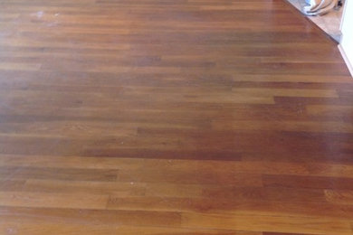 Extreme Floor Care Egg Harbor Township Nj Us 08234 Houzz Extreme Floor Care Egg Harbor Township Nj Us 08234 Houzz