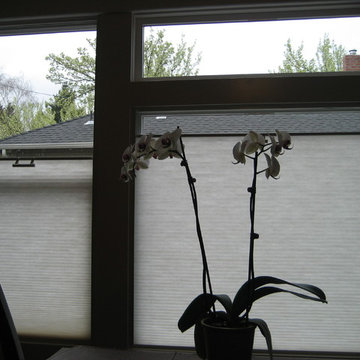 Honeycomb shades