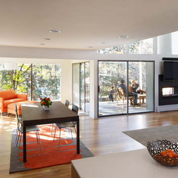 Hornstein Residence