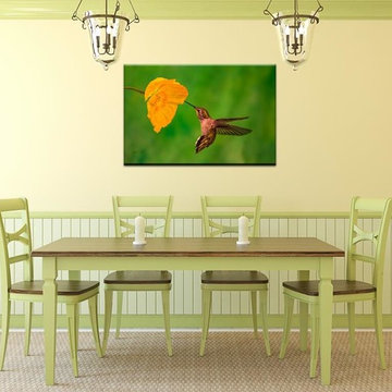 Hummingbirds For Your Walls