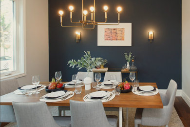 Imagen de comedor contemporáneo de tamaño medio cerrado sin chimenea con paredes azules, suelo de madera oscura y suelo marrón