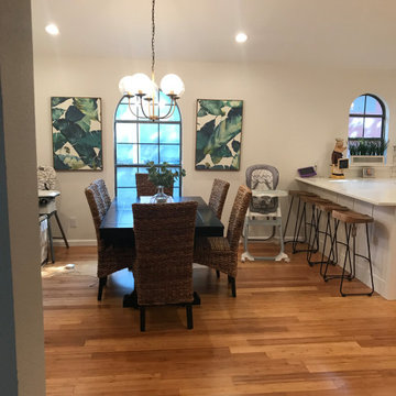Kitchen/ Dining Room Update in conservation district