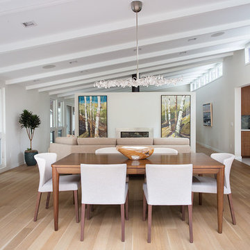 Lafayette Mid Century Modern Remodel