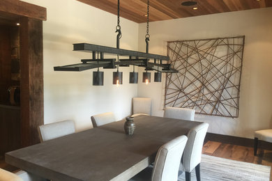 Mid-sized minimalist dining room photo in Sacramento